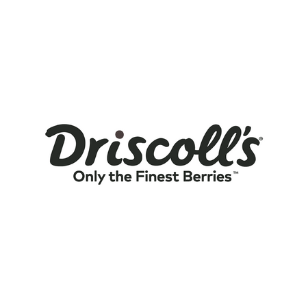 driscoll